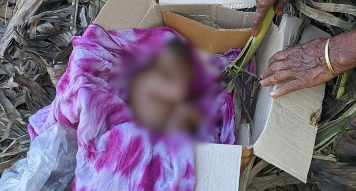 গাজীপুরে নবজাতকের লাশ উদ্ধার