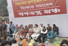 বিদ্যুতের মূল্যবৃদ্ধির প্রতিবাদে গণতন্ত্র মঞ্চের বিক্ষোভ শুরু
