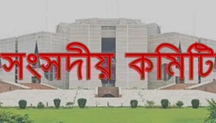সাত সংসদীয় কমিটি পুনর্গঠন