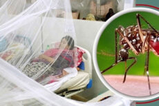 ডেঙ্গুতে একদিনে ৫ জনের মৃত্যু, হাসপাতালে ৫৭০