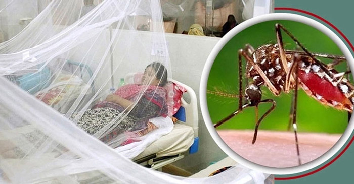 ডেঙ্গুতে একদিনে ৫ জনের মৃত্যু, হাসপাতালে ৫৭০
