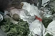 মোহাম্মদপুরে ডাস্টবিনে মিলল মানুষের খণ্ডিত পা