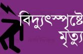 লালমনিরহাটে বিদ্যুৎস্পৃষ্টে মা-ছেলের মৃত্যু